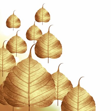 Dried Leaf skeleton background clipart