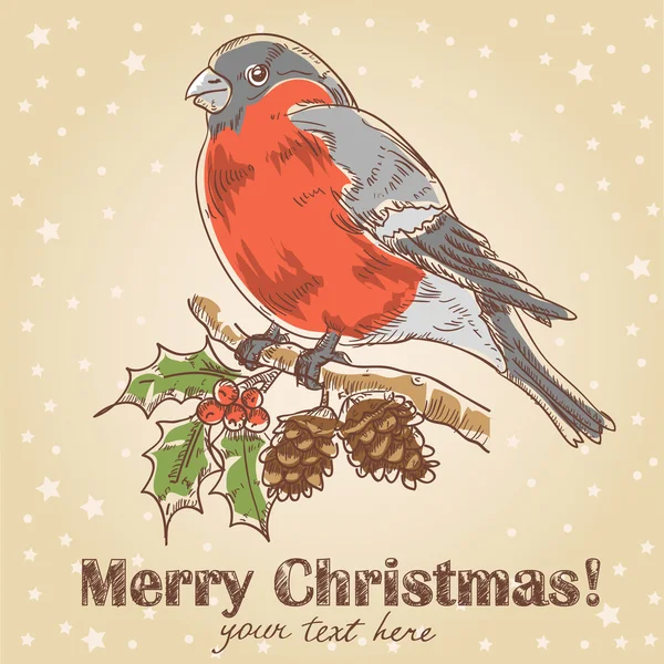 크리스마스 손으로 그린 멋쟁이 새의 일종으로 그림 엽서 — 스톡 벡터