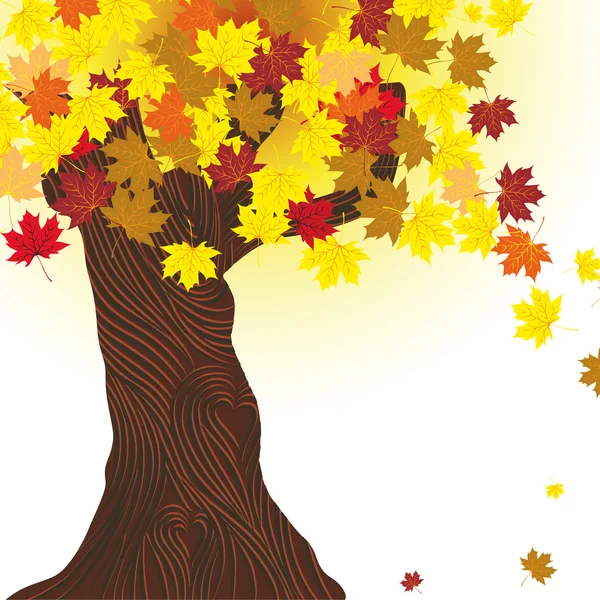 美しい秋の木. — ストックベクタ