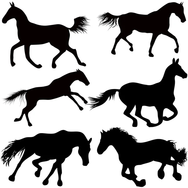Set of a silhouette of a horse — Stock Vector