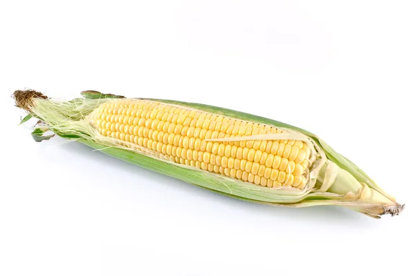 Verse maïs — Stockfoto