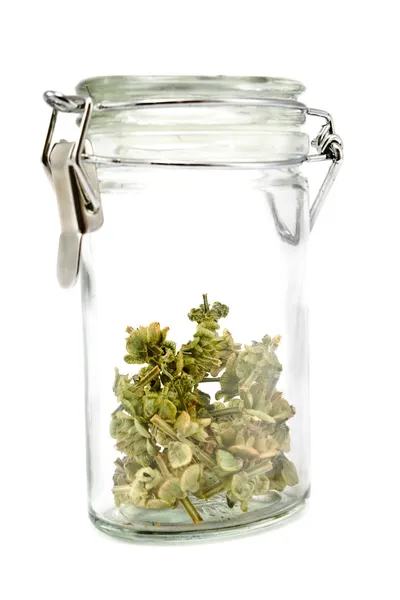 乾燥バジルと jar します。 — ストック写真