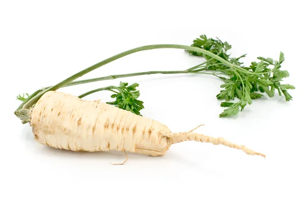Fresh parsley with root and leaf — Zdjęcie stockowe