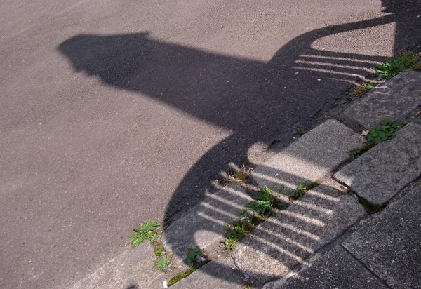 Amuzant Shadow — Fotografie, imagine de stoc
