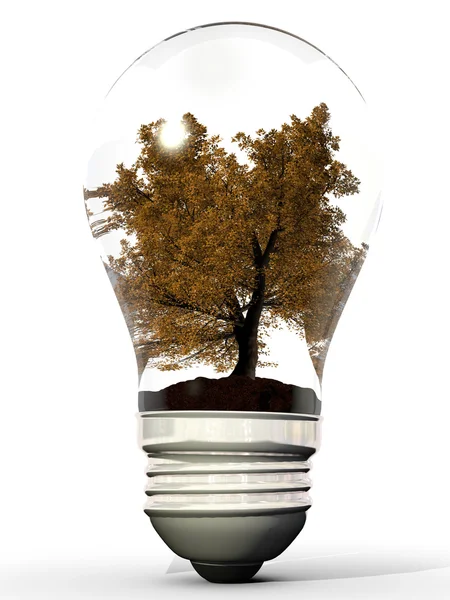 Träd i bulb — Stockfoto