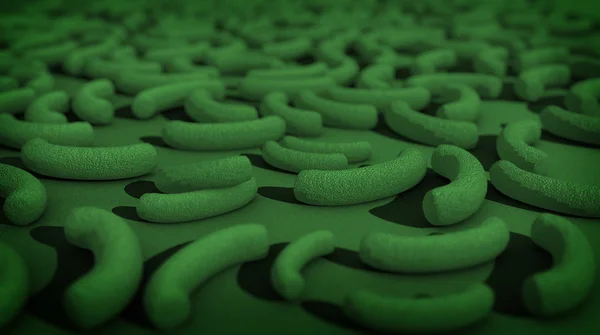 Bactérias — Fotografia de Stock
