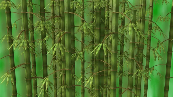 Stock image Bamboo forest