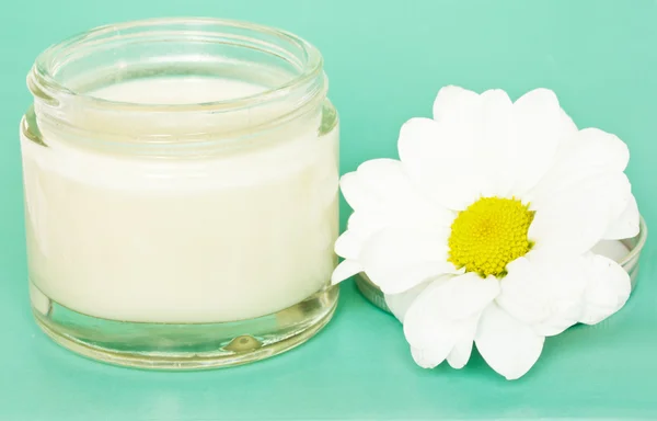 Jar with cream and camomile — Stock Photo, Image