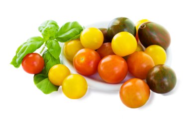 Multicolored cherrry tomatoes clipart