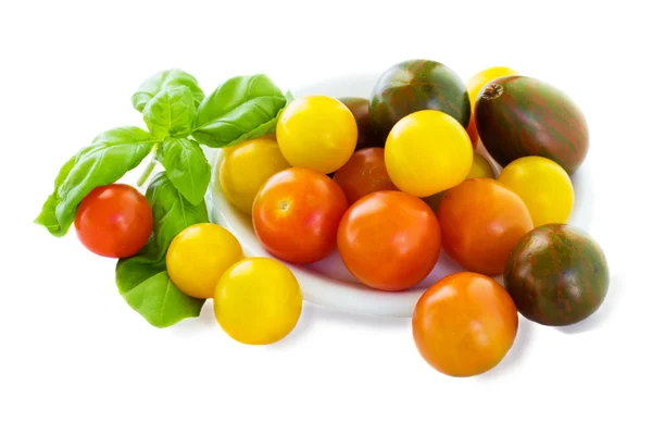 Stock image Multicolored cherrry tomatoes