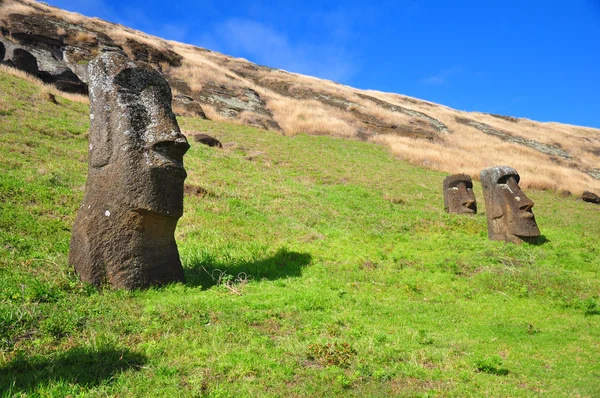 Похоронили Моаи на острове Пасхи — стоковое фото