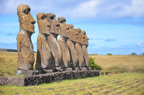 Zeven moai, Paaseiland — Stockfoto