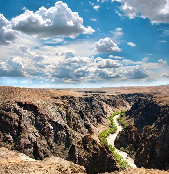 Charyn canyon river in Kazakhstan — Stock Photo, Image