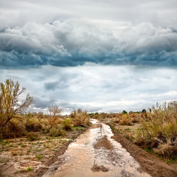 Route inondée dans la prairie et ciel dramatique — Photo