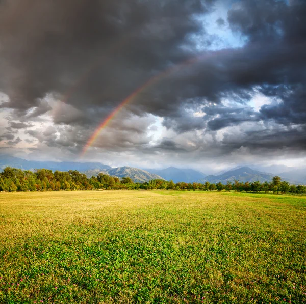 草地场下的彩虹 — 图库照片