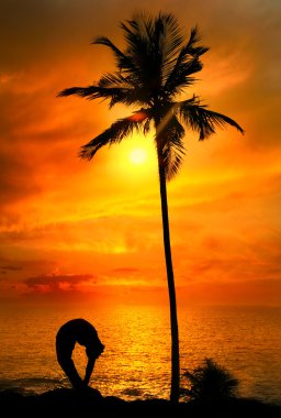 Yoga silhouette tiriang mukhottanasana pose at sunset clipart