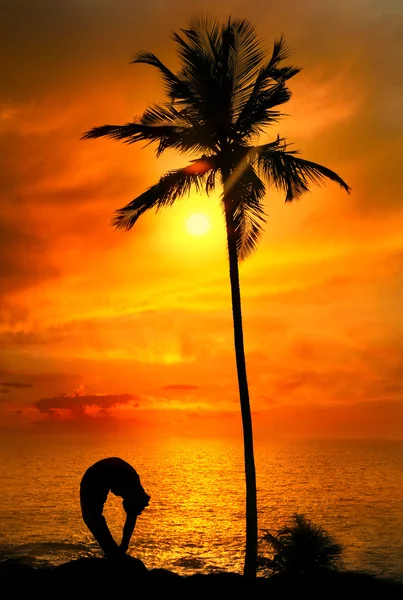Gün batımında Yoga siluet tiriang mukhottanasana poz — Stok fotoğraf