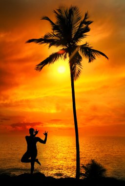 Yoga silhouette lord krishna pose clipart