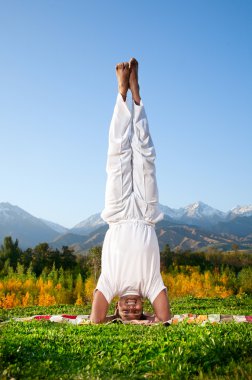 Yoga baş ayakta