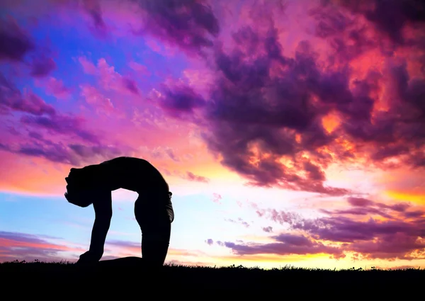 Yoga silhouette cammello posa — Foto Stock
