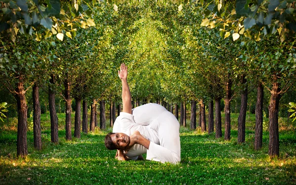 Yoga avançar pose na floresta — Fotografia de Stock