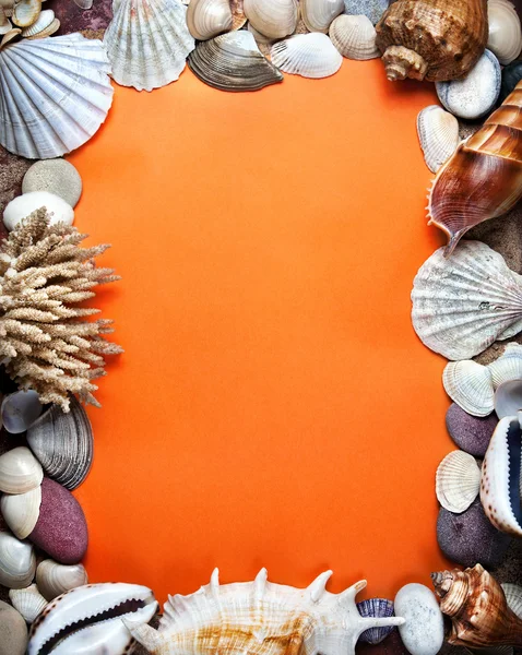 Oranžový mořský pohlednice — Stock fotografie