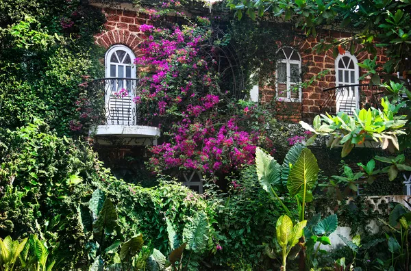 Haus in Goa — Stockfoto