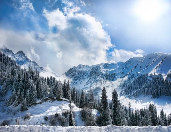 Bergen in de winter — Stockfoto