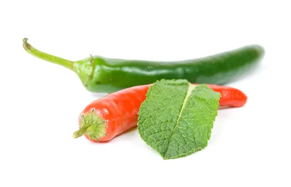 Chilli papričky a máta na bílém pozadí — Stock fotografie