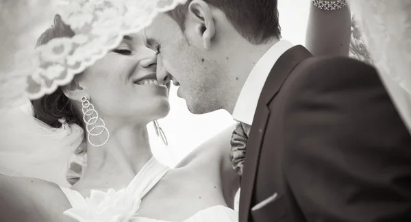 Eine schöne Braut und Bräutigam — Stockfoto