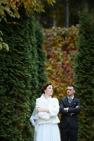 美しい花嫁と花婿 — ストック写真