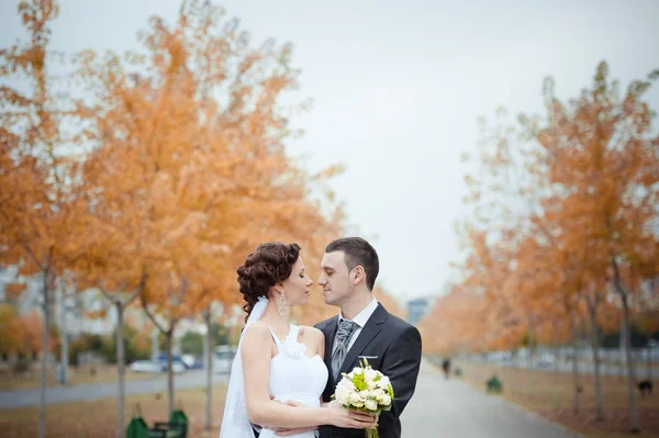 Een mooie bruid en een bruidegom — Stockfoto
