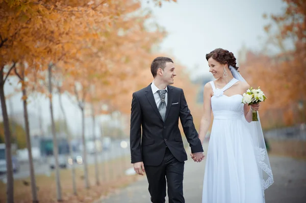 Een mooie bruid en een bruidegom — Stockfoto