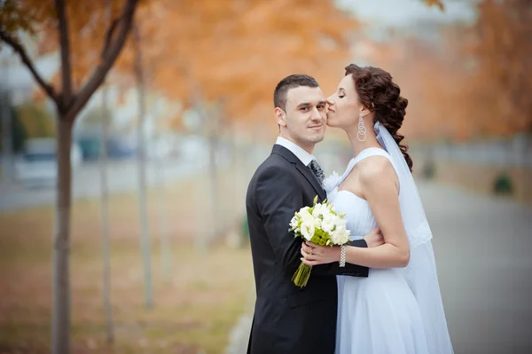 Uma bela noiva e noivo — Fotografia de Stock