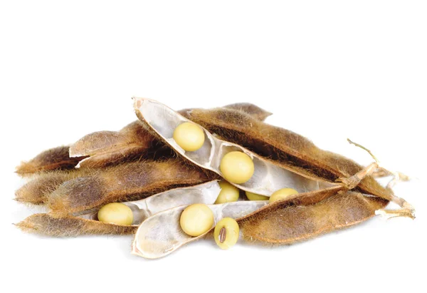 Soy Beans isolated on white background — Stock Photo, Image