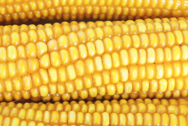 Свіже вухо кукурудзи як фон — стокове фото