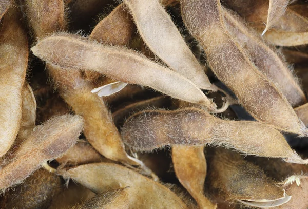 Feijões de soja close-up como fundo — Fotografia de Stock