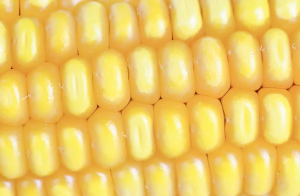 Свежий ухо кукурузы в качестве фона — стоковое фото