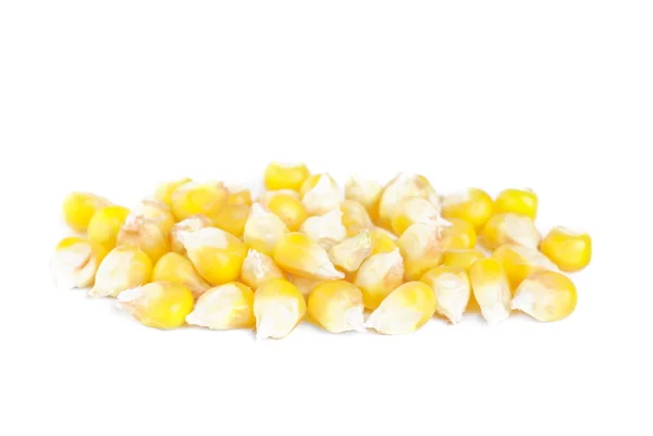 Świeże całe ziarno kukurydzy izolowane na białym — Zdjęcie stockowe