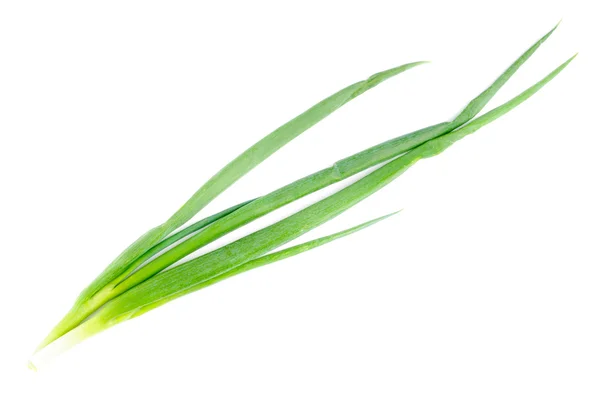 Čerstvé zelené cibule izolovaných na bílém — Stock fotografie