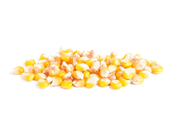 Świeże całe ziarno kukurydzy izolowane na białym — Zdjęcie stockowe