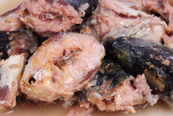 Skarpsill konserverad fisk som mat bakgrund — Stockfoto