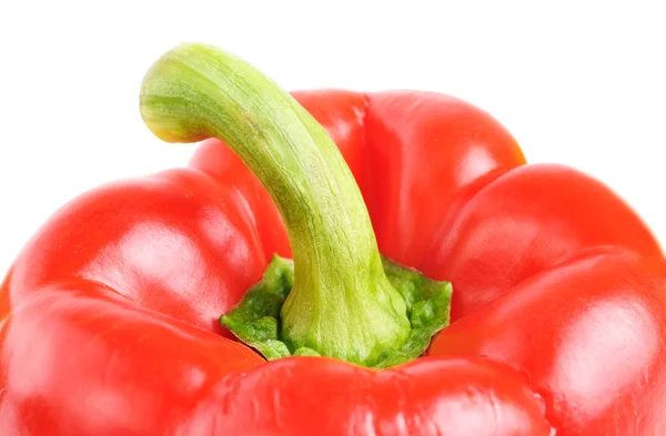 Rode paprika (peper) geïsoleerd op een witte achtergrond — Stockfoto