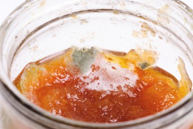 Macro shot of green-grey mold growing in jam-jar clipart