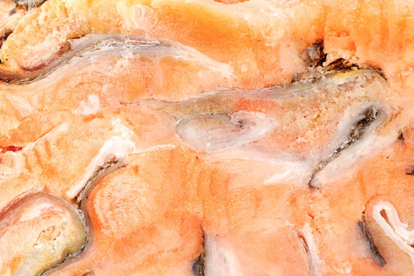 Dondurulmuş balık kırmızı arka plan dilimlenmiş — Stok fotoğraf