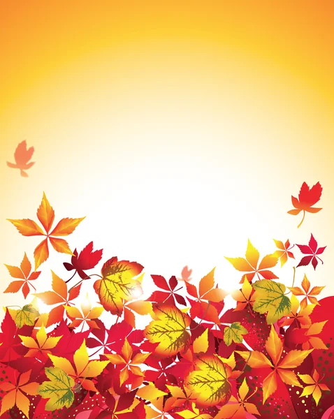 Folhas de outono caindo —  Vetores de Stock
