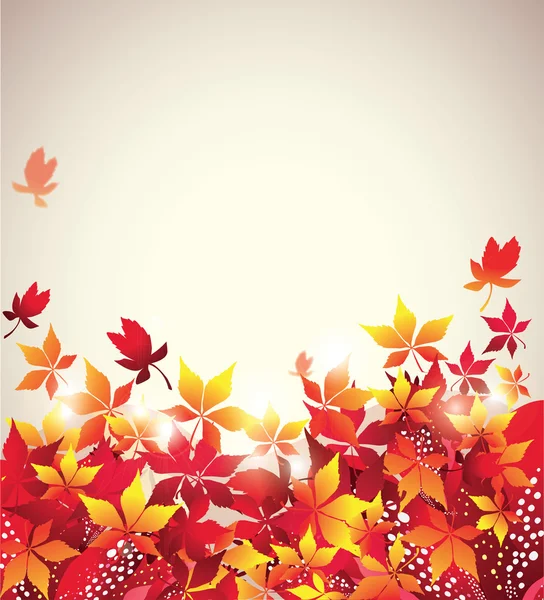 秋天的落叶 — 图库矢量图片