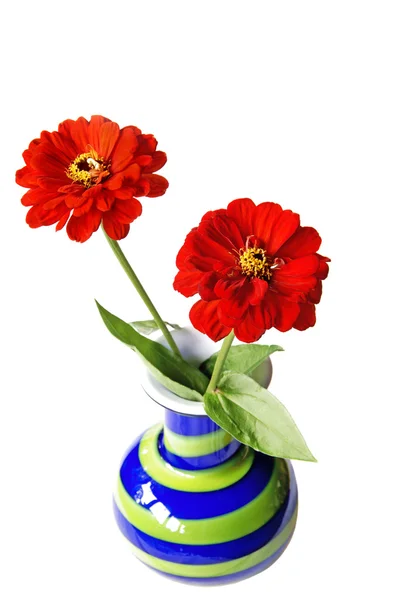 Blomster Stock-billede