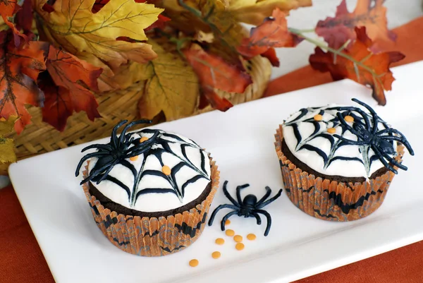 stock image Halloween cupcakes