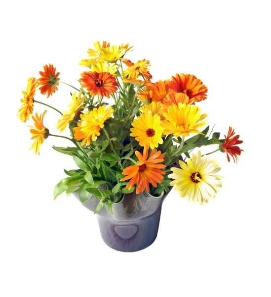 Flores Imagen de stock